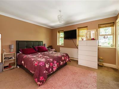 Picture 13
